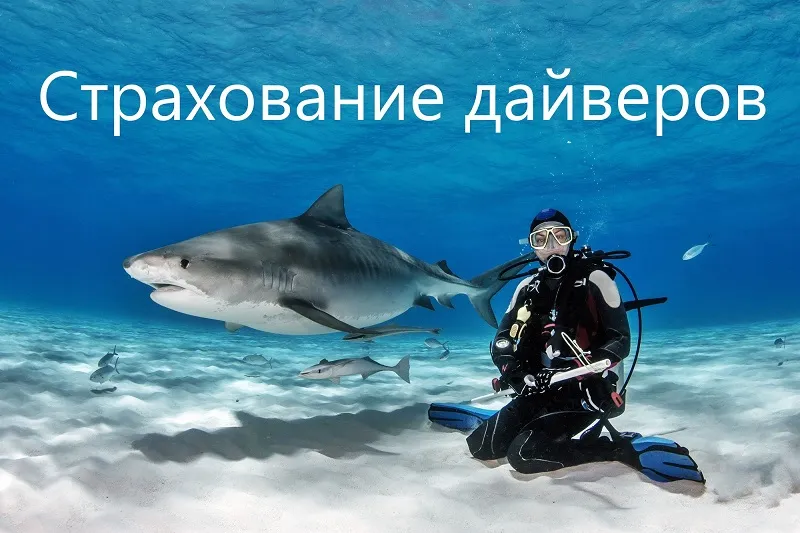 Страхование дайверов Страхование дайверов